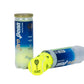 ITHF logo Tennis Balls